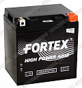 Fortex VRLA 1230 (YTX30L-BS) Fortex VRLA 1230 (YTX30L-BS)